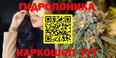 mix Дубна