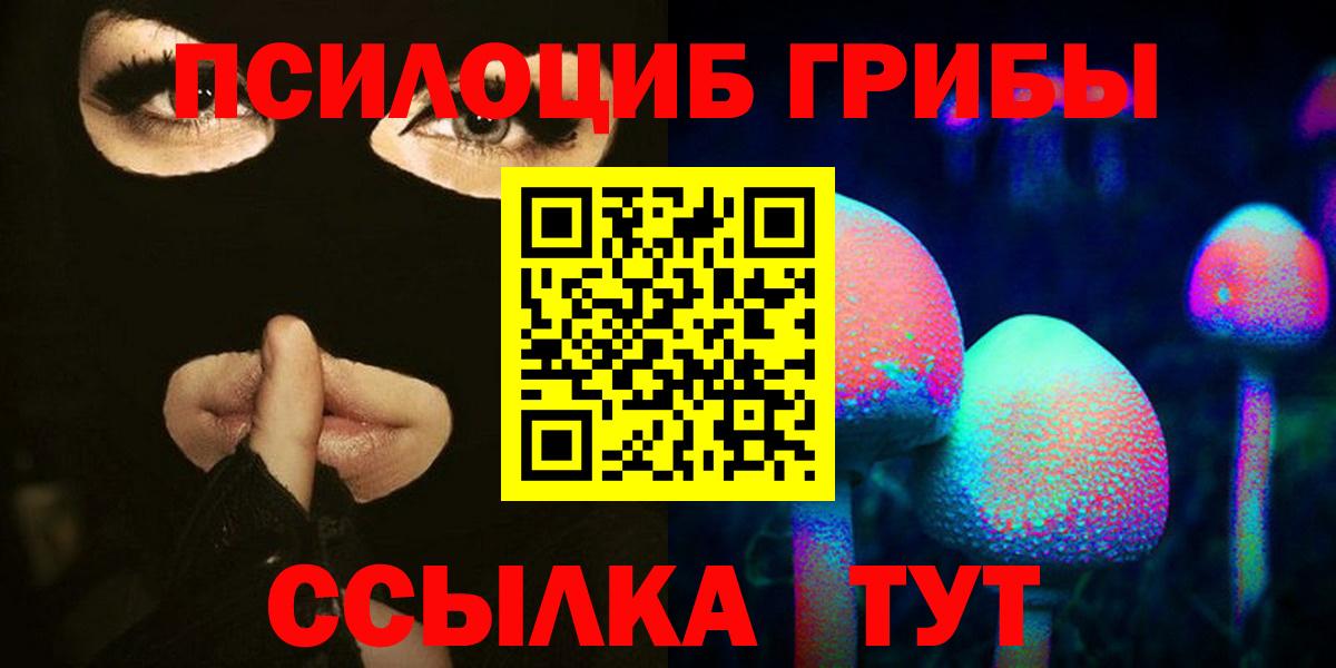 Псилоцибиновые грибы мицелий  Вход с VPN  Майкоп 